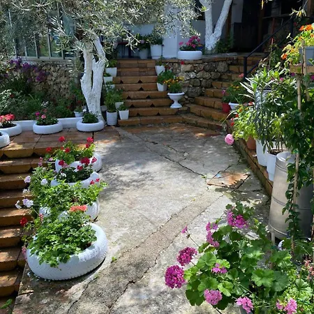 Firauni Studios Vlore Exterior photo