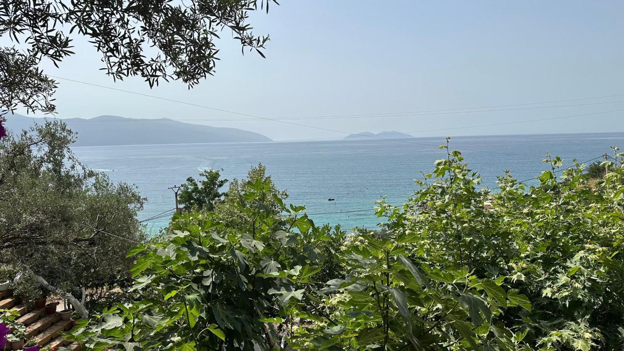 Firauni * Vlorë